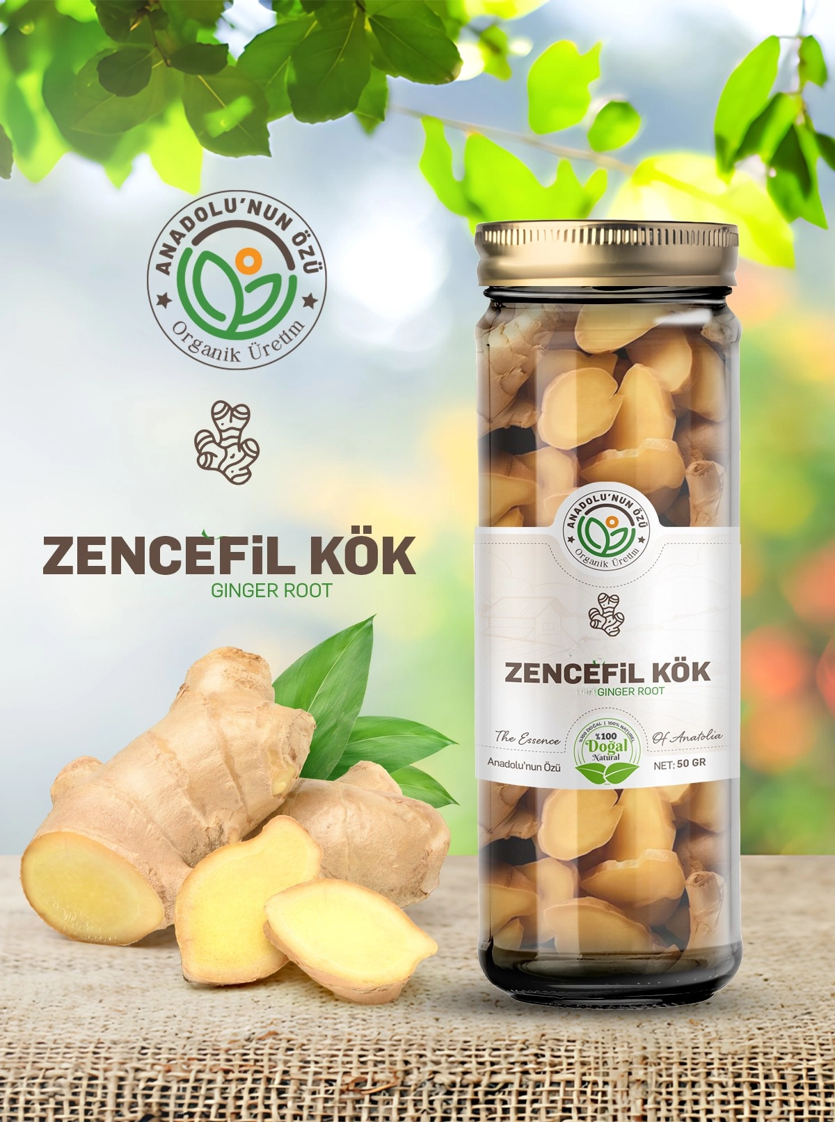 %20Zencefil%20Kök