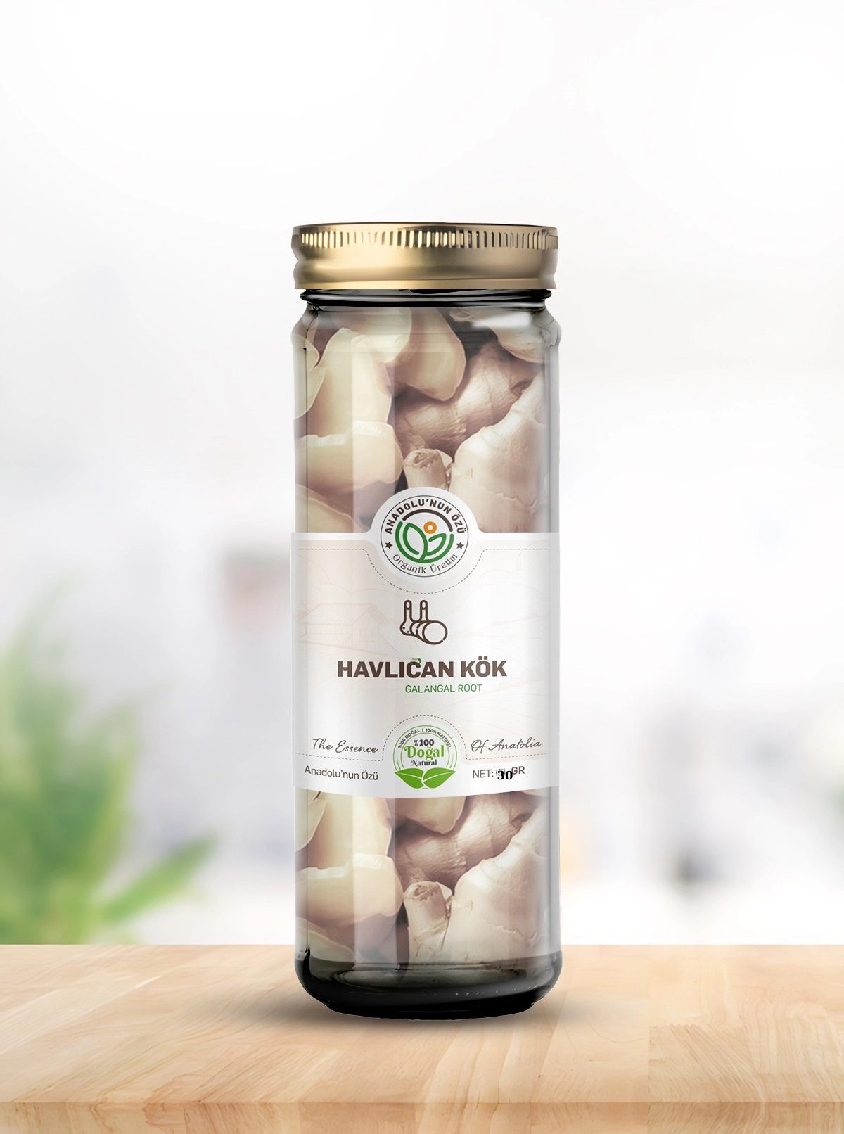 Havlıcan%20Kök
