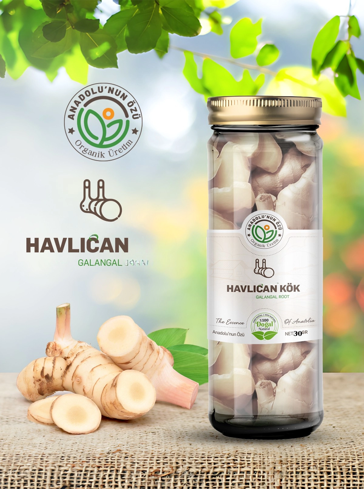 Havlıcan%20Kök