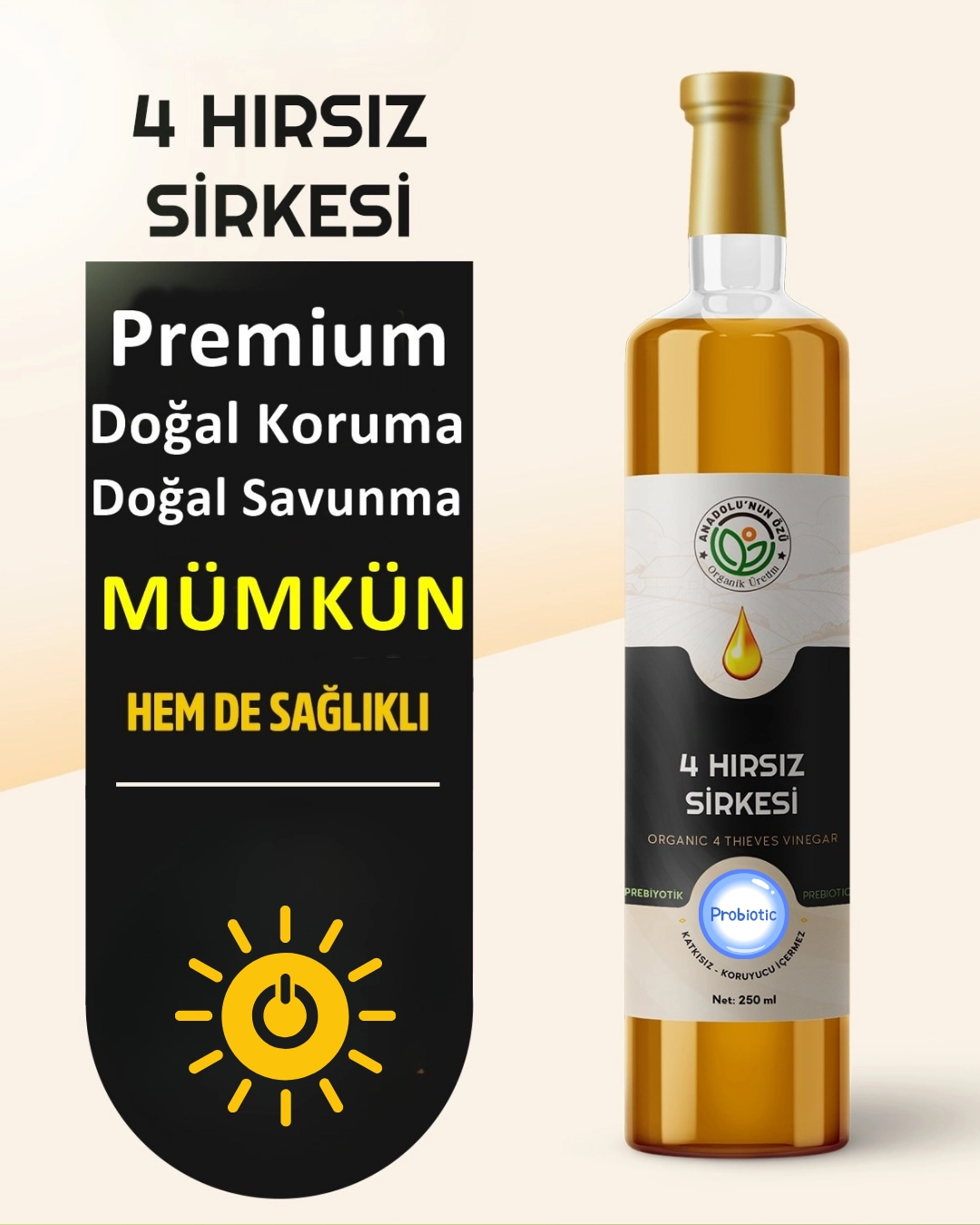 4%20Hırsız%20Detox%20Sirkesi