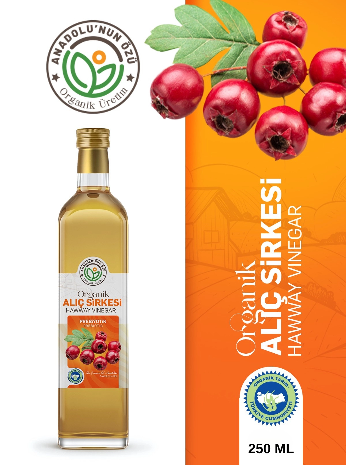 Organik%20Alıç%20Sirkesi%20