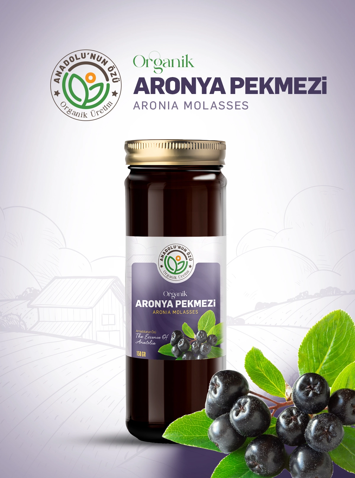 Organik%20Aronya%20Pekmezi