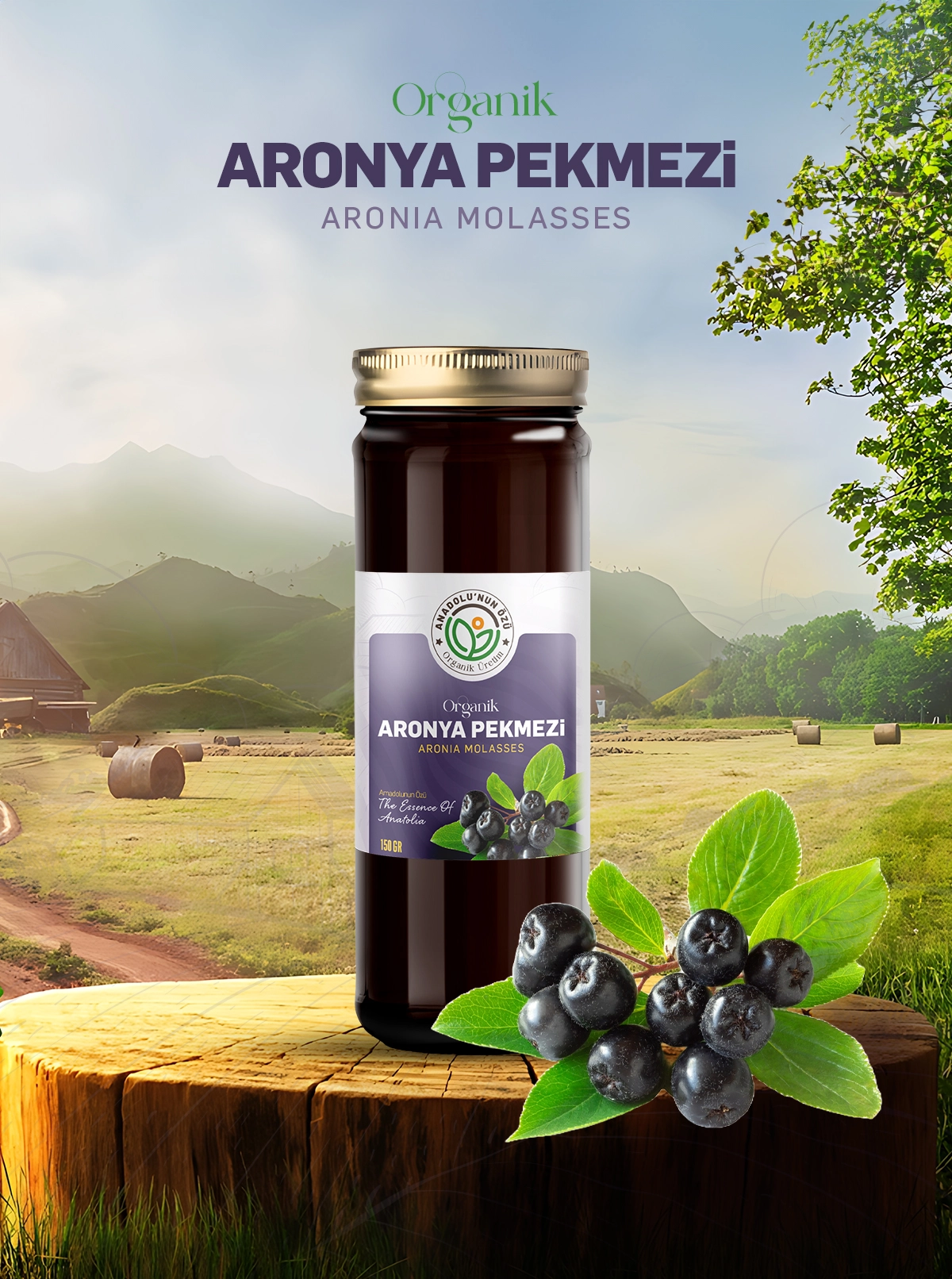 Organik%20Aronya%20Pekmezi