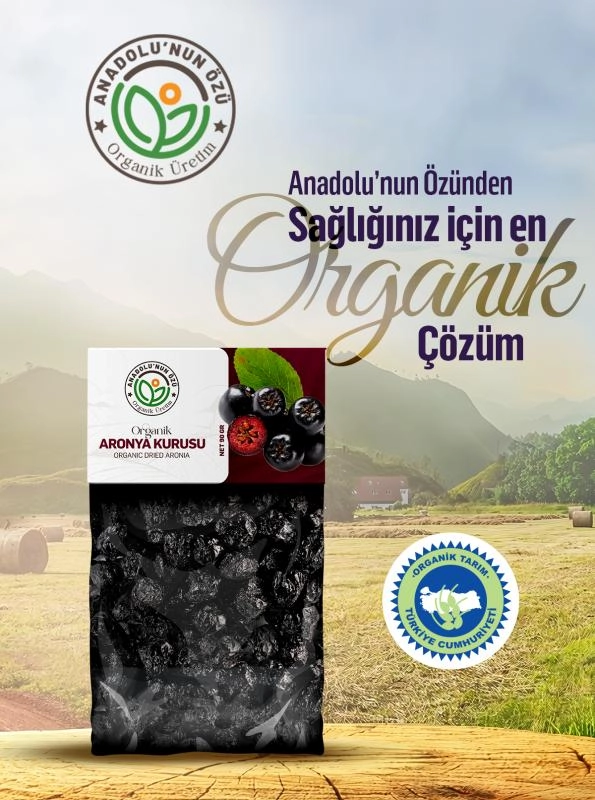 Organik%20Aronya%20Kurusu