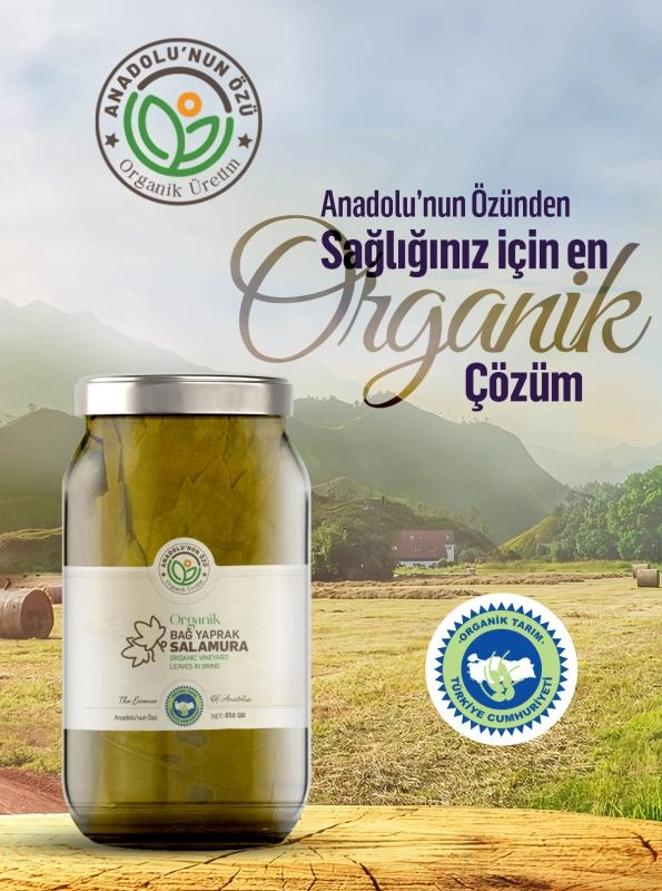 Organik%20Asma%20Yaprağı