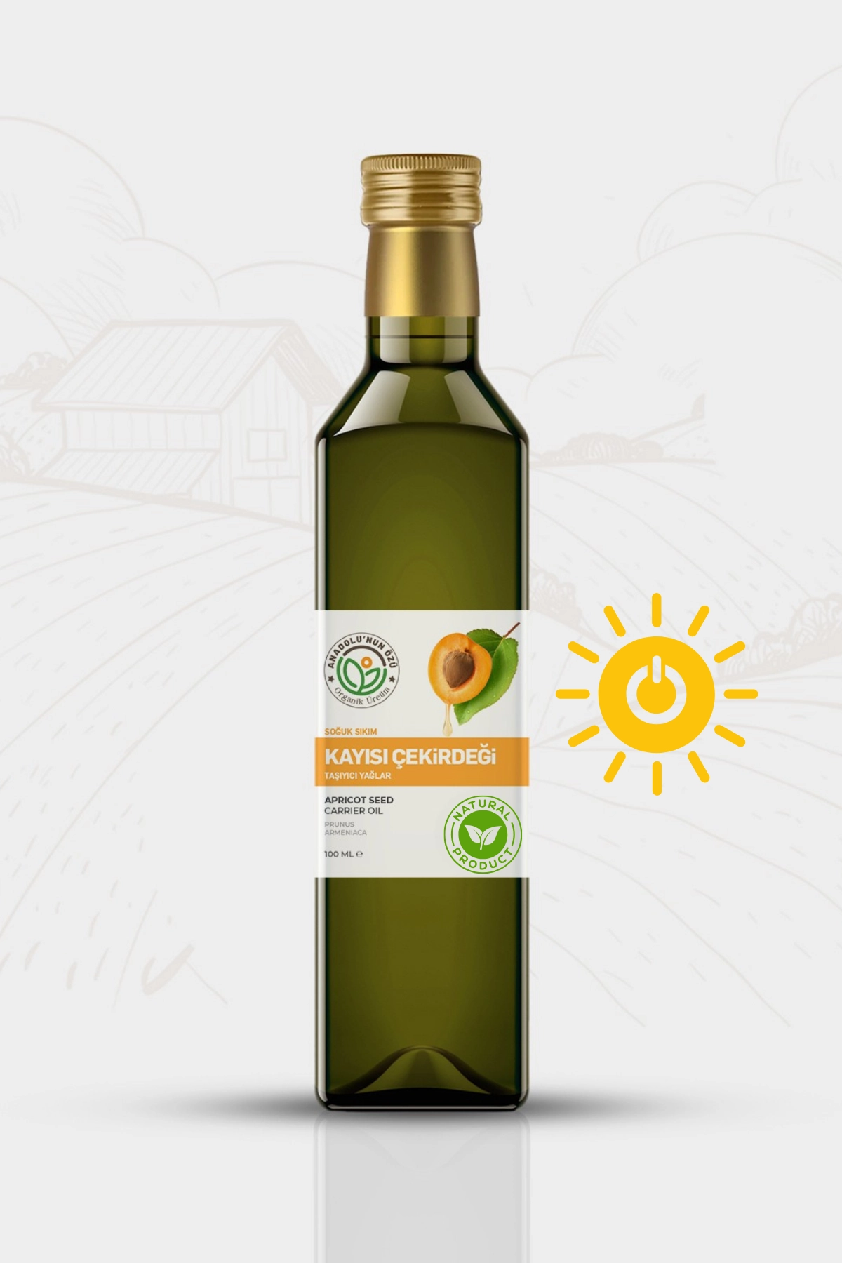 Kayısı%20Çekirdeği%20Yağı%20(Soğuk%20Press)