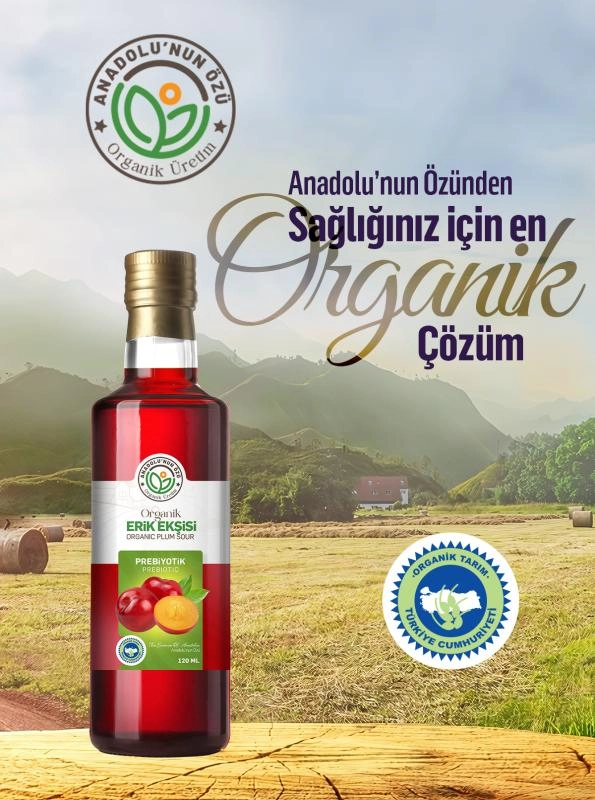 Erik%20Ekşisi