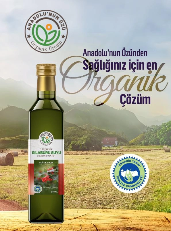 Organik%20Gilaburu%20Suyu