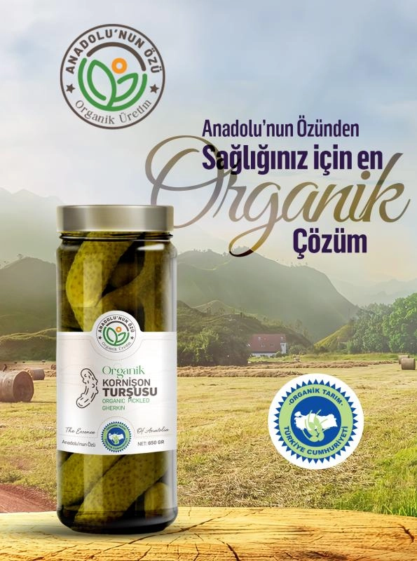 Organik%20Kornişon%20Turşusu%20