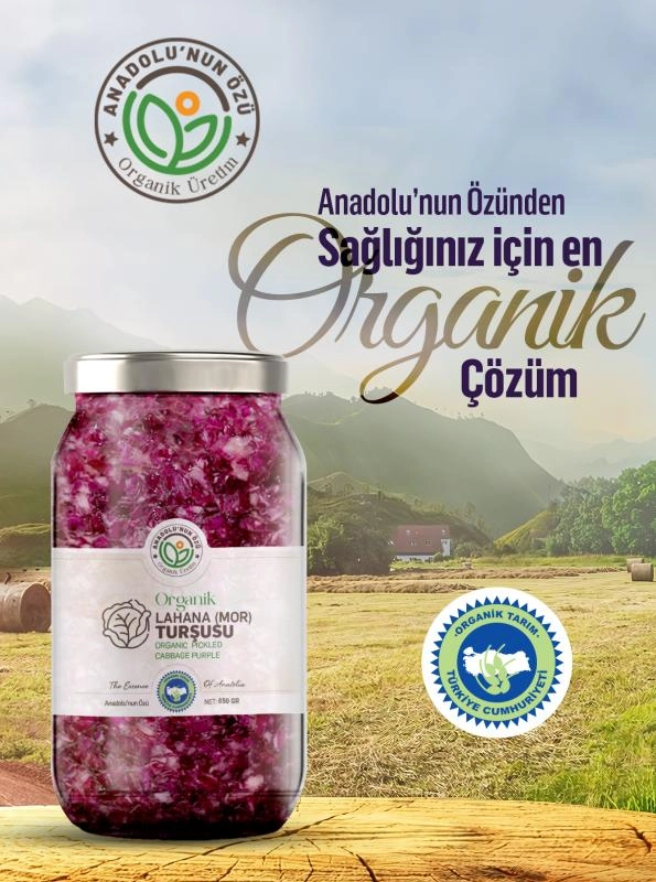 Organik%20Mor%20Lahana%20Turşusu%20