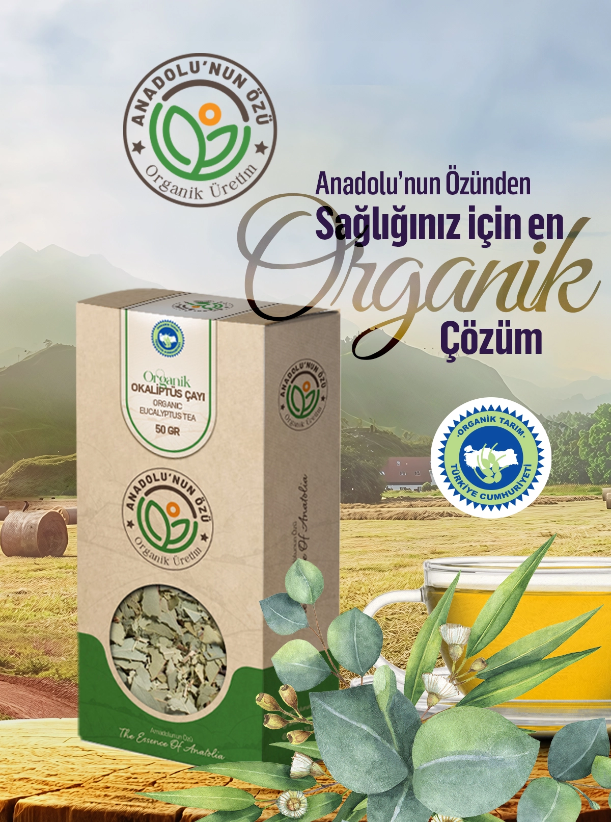 Organik%20Okaliptus%20Çayı