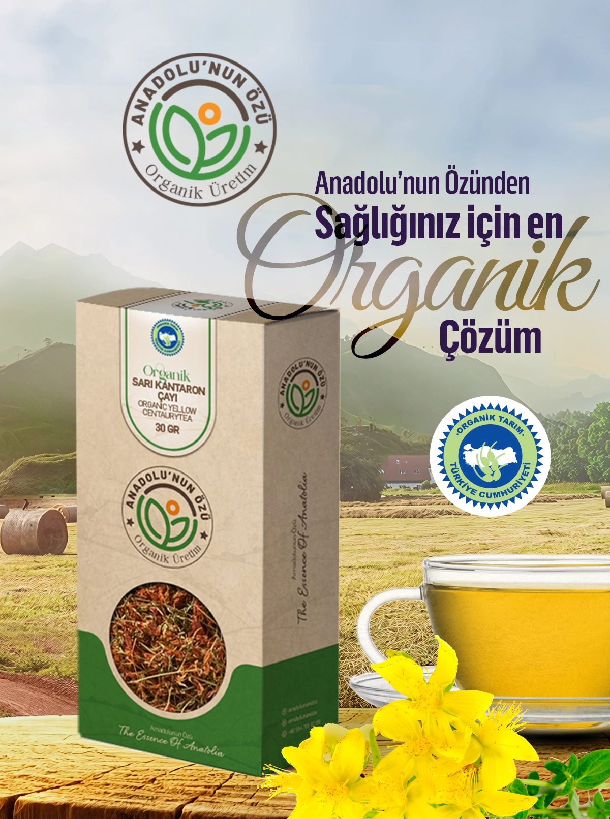 Organik%20Sarı%20Kantaron%20Çayı