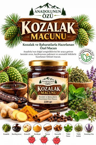 Kozalak Macunu