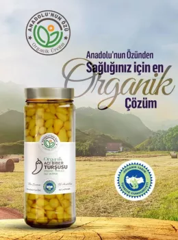 Organik Acı Biber Turşusu 
