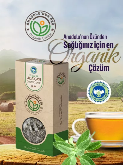 Organik Adaçayı