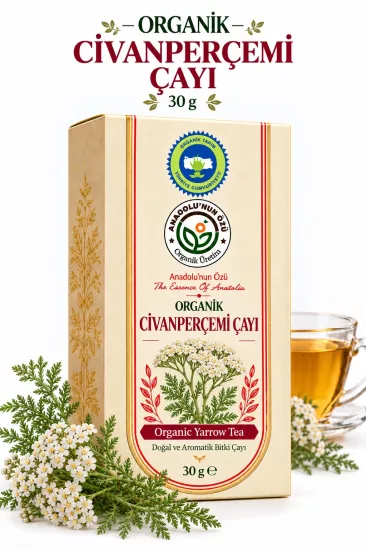 Organik Civan Perçemi Çayı
