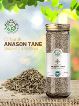 ANASON TOHUMU