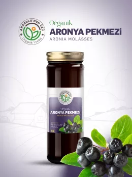 Organik Aronya Pekmezi