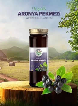 Organik Aronya Pekmezi