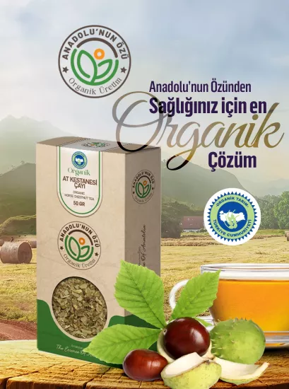 Organik At Kestanesi Çayı