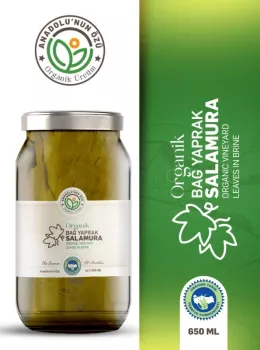 Organik Asma Yaprağı