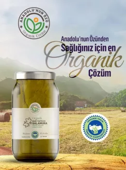 Organik Asma Yaprağı