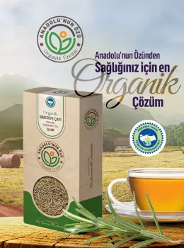 Biberiye Çayı