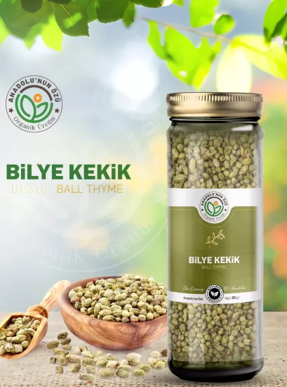Bilya Kekik