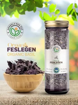 Organik  Fesleğen(Mor)