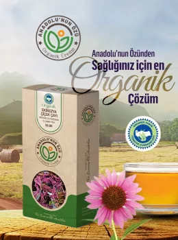 Organik Ekinezya Çiçek Çayı