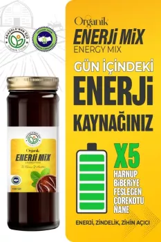 Organik Enerji Mix