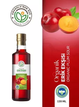 Erik Ekşisi
