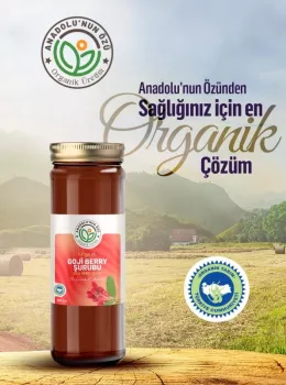 Organik Gojibery Şurubu