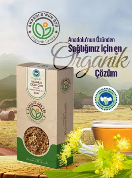 Organik Ihlamur Çiçek