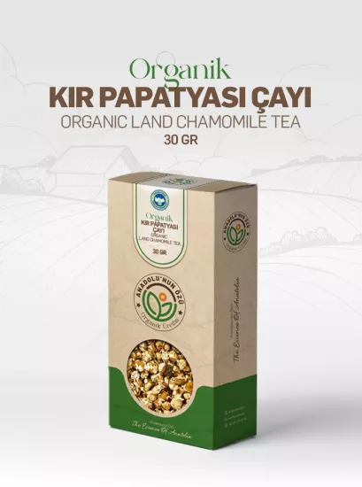 Organik Kır Papatyası