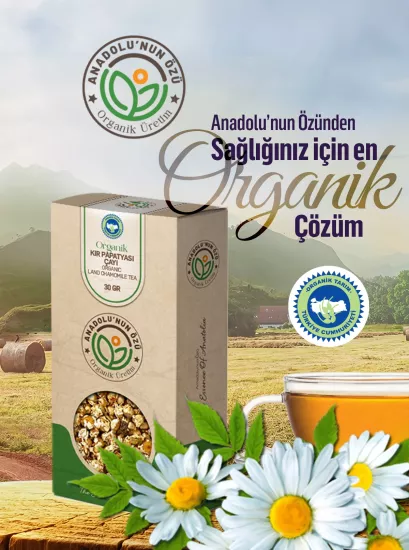 Organik Kır Papatyası