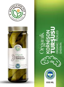Organik Kornişon Turşusu 