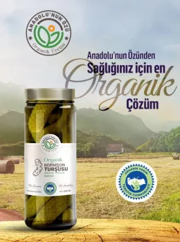 Organik Kornişon Turşusu 