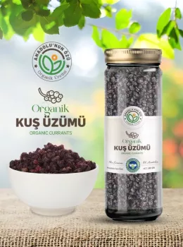 Organik Kuş Üzümü (Dolmalık)