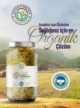 Organik Lahana Turşusu 