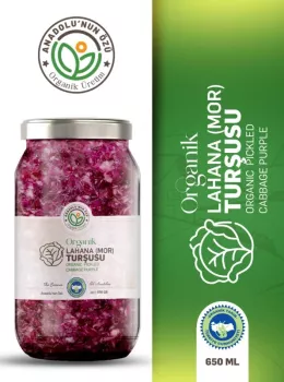 Organik Mor Lahana Turşusu 