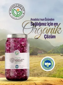 Organik Mor Lahana Turşusu 