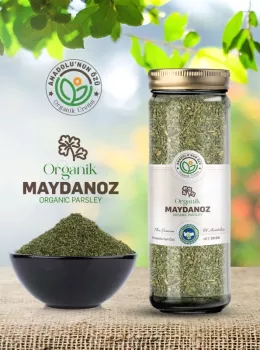 Organik Maydanoz