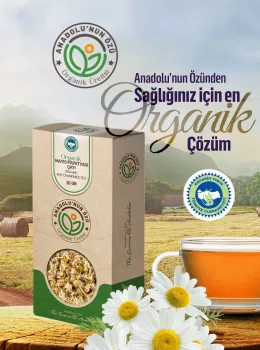 Organik Mayıs Papatyası Çayı