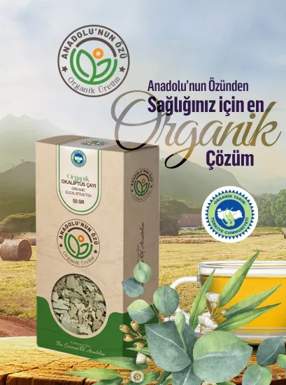 Organik Okaliptus Çayı