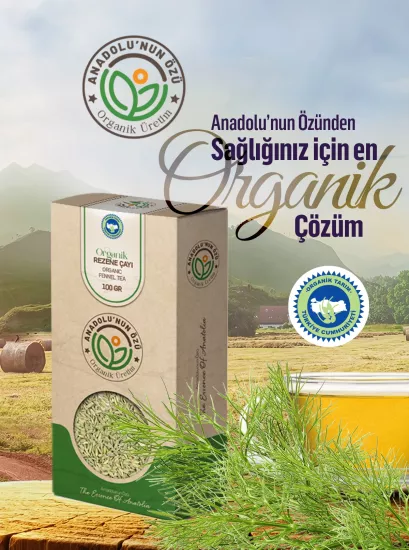 Organik Rezene Çayı
