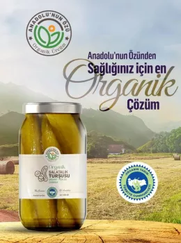 Organik Salatalık Turşusu