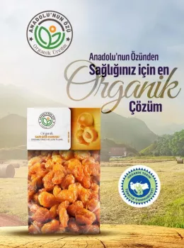 Organik Altın Erik Kurusu 