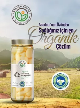 Organik Sarımsak Turşusu 