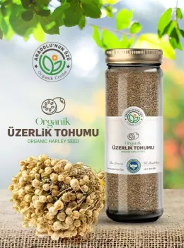  Üzerlik Tohumu